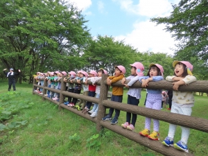 さくら組「ヤッホー！」