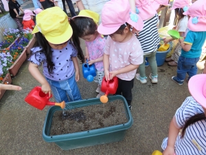 水やりもたっぷりと