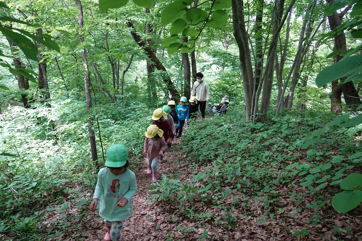5月25日（木）年中のサツマイモ植え