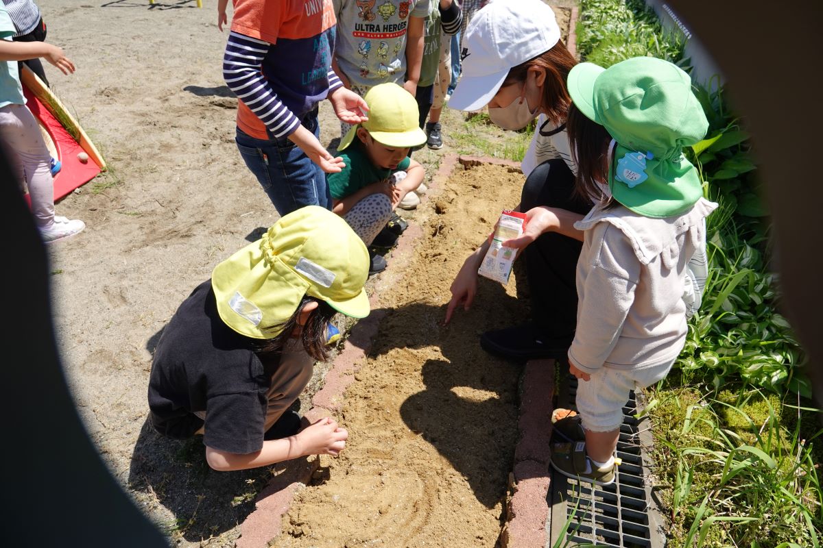 5月14日（火）年中の栽培