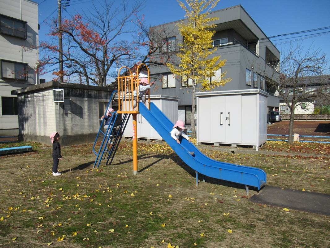 さくら組　公園で秋を満喫しました