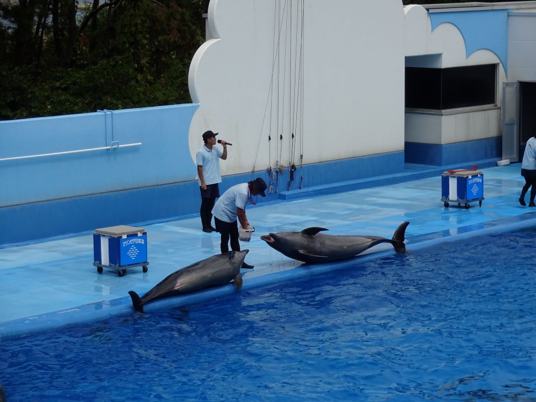9月5日（火）親子バス遠足