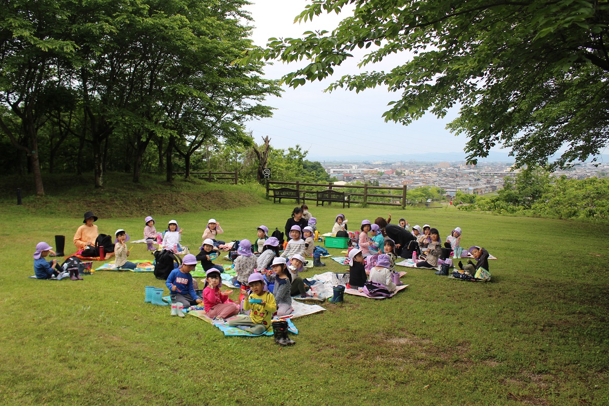 5月26日（金）年長のサツマイモ植え